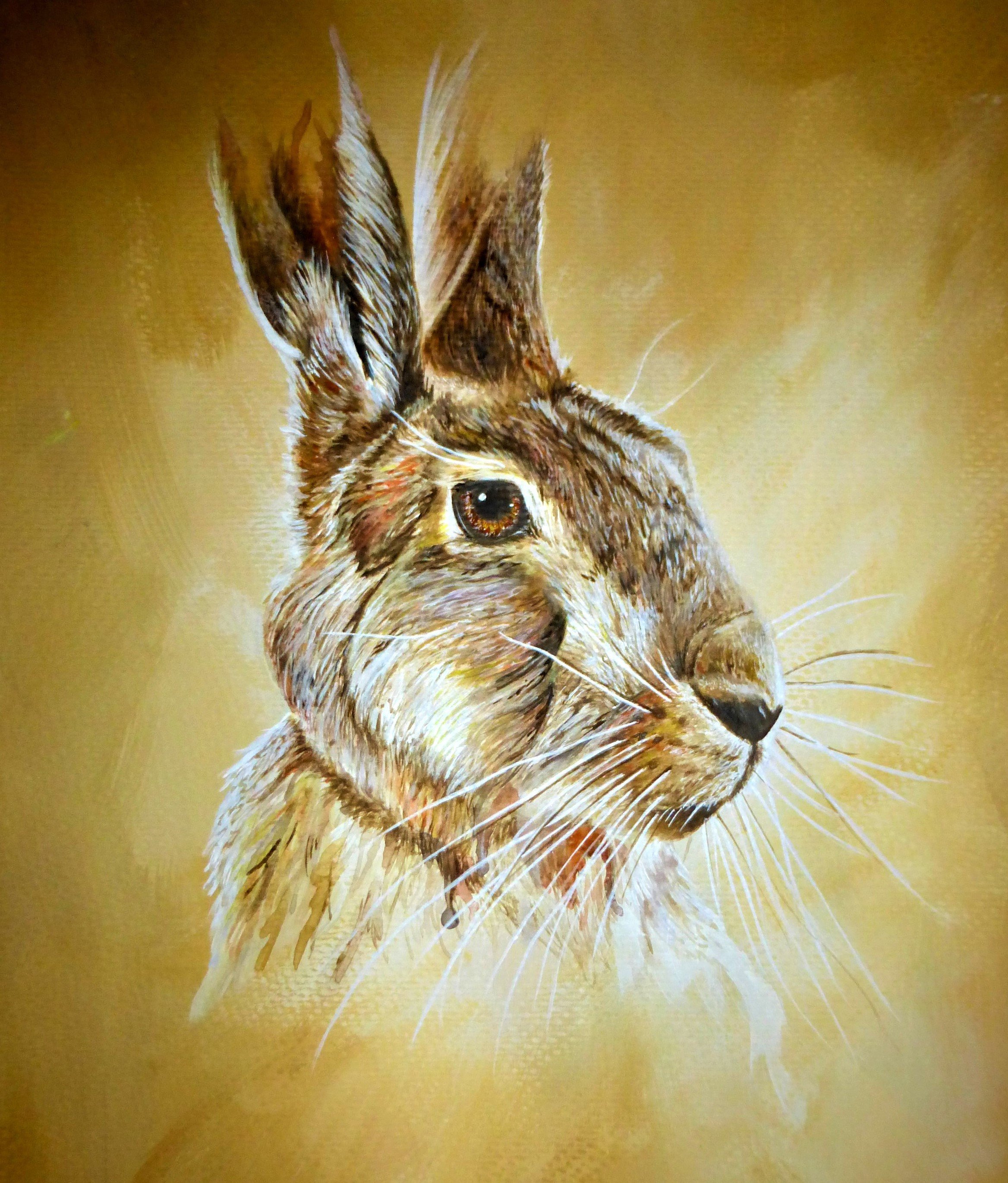 Hare Portraiture Print