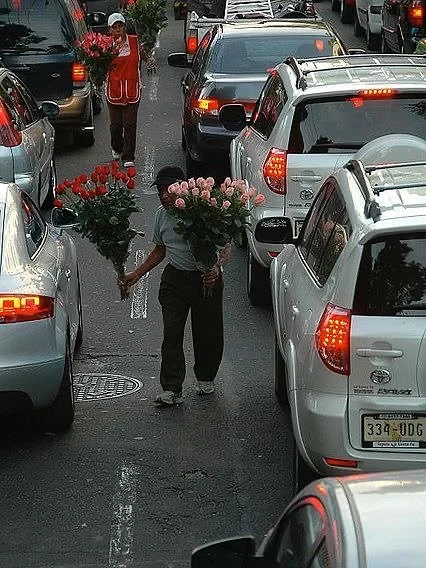 What feels real is what stays. ✨🌿