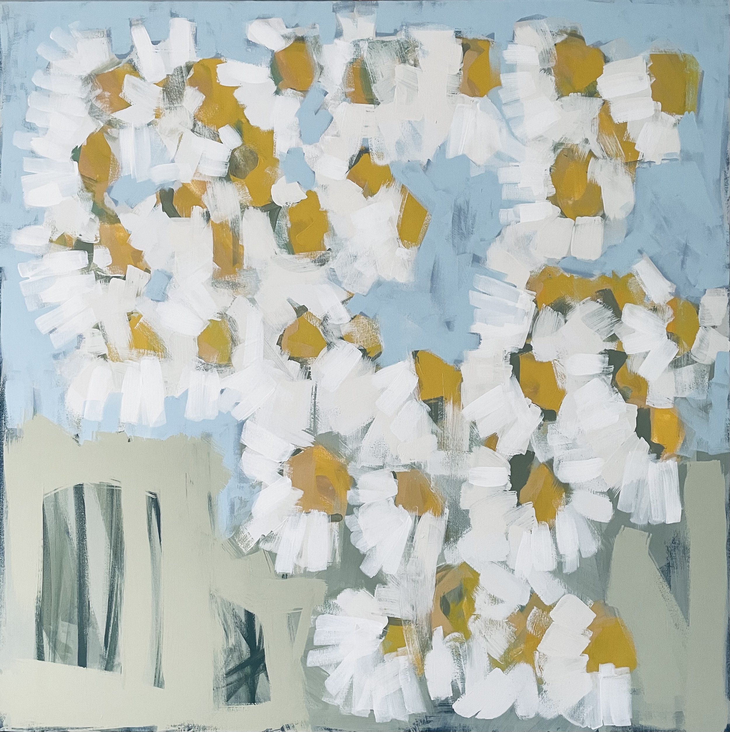 daisies-claire-oxley-landscape-artist-yellow-white.jpeg