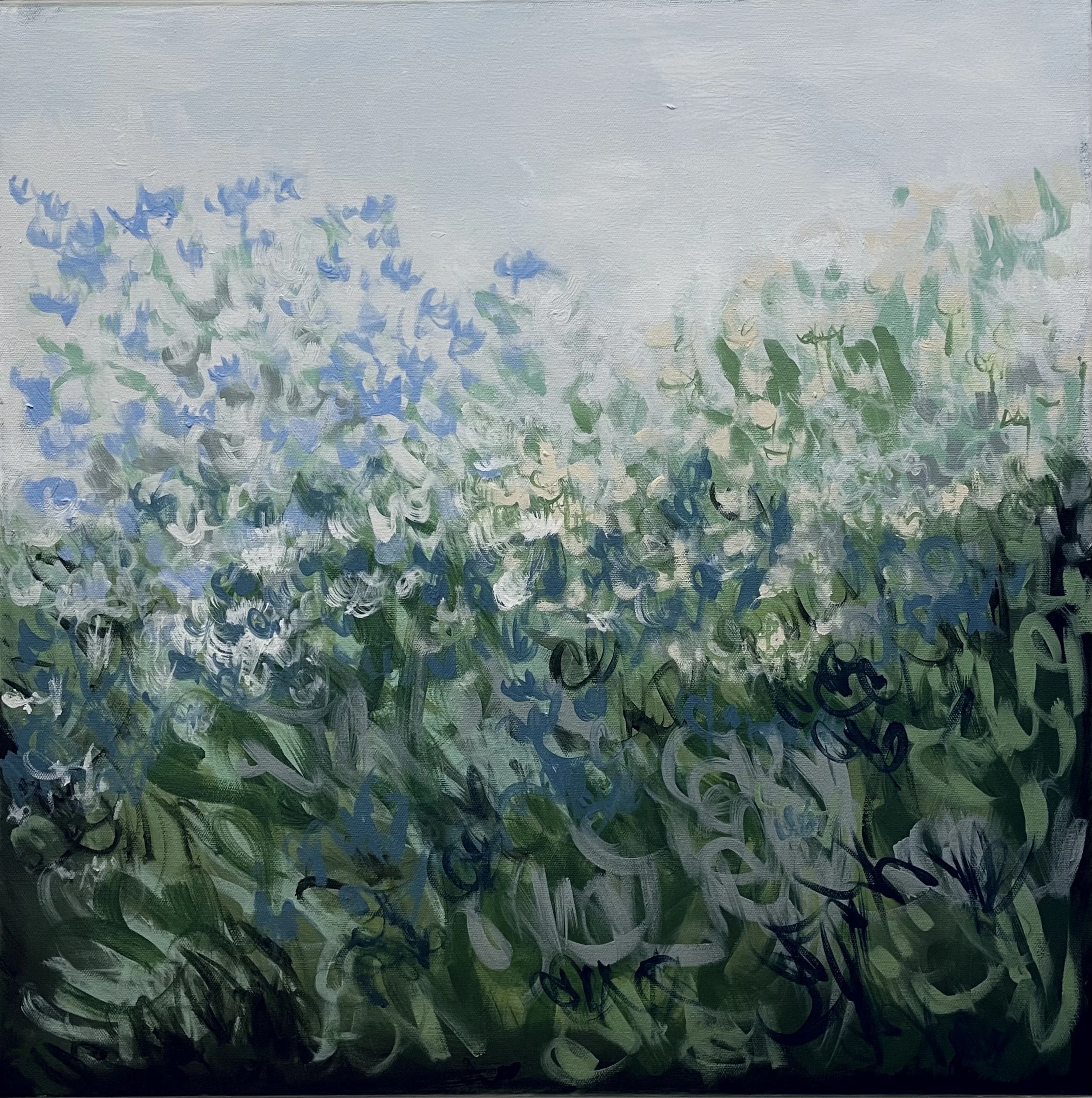 Campion - 13cm (with white border) print in 26.5cm mount