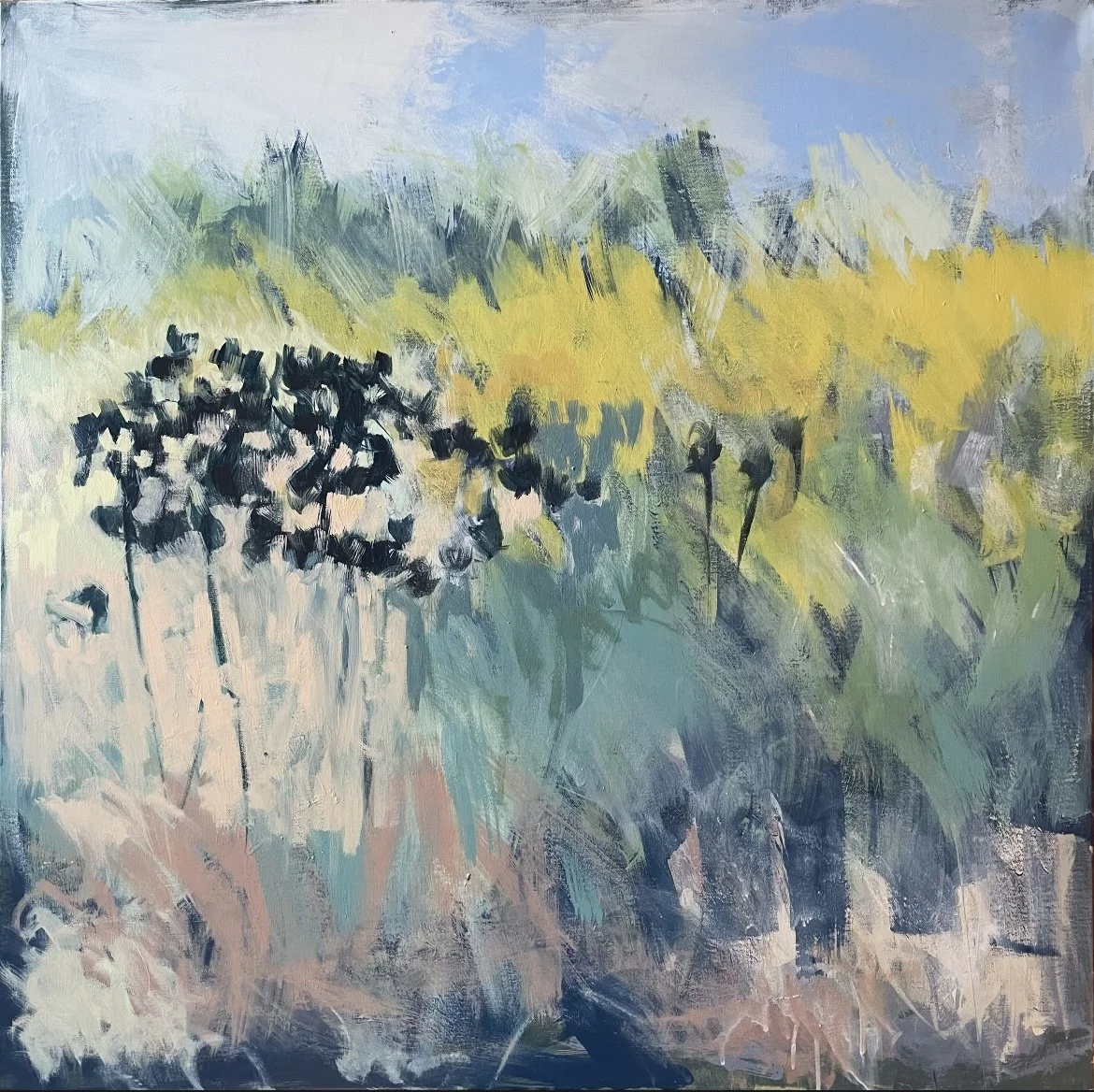 Backlit Teasels - 13cm (with white border) print in 26.5cm mount