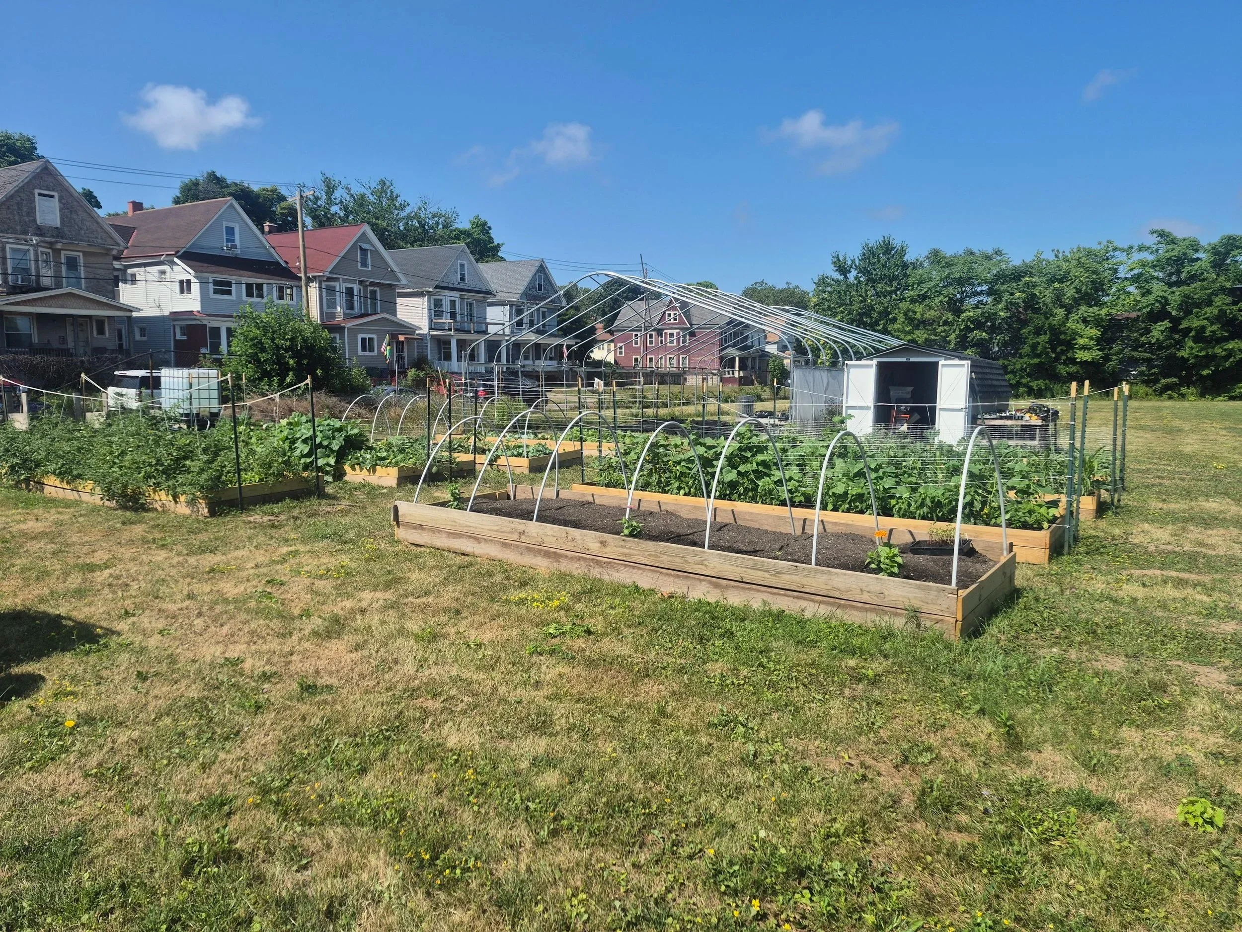 CAgrO Urban Farm - 214 Kingsley St