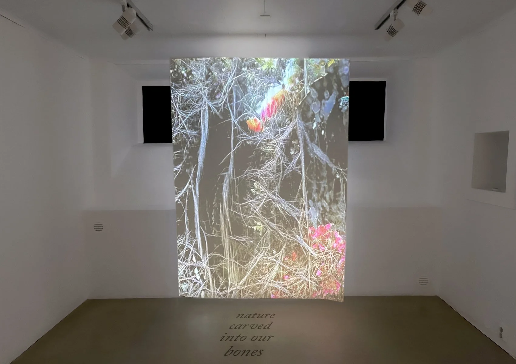 Nature carved into our bones, Susanne Fagerlund