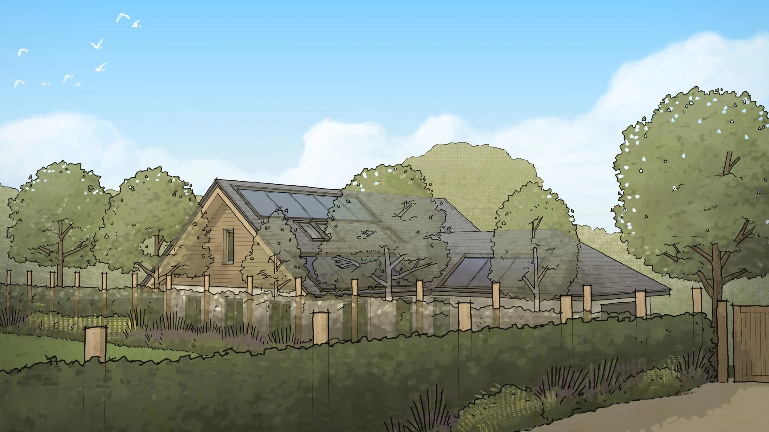 Willowfield