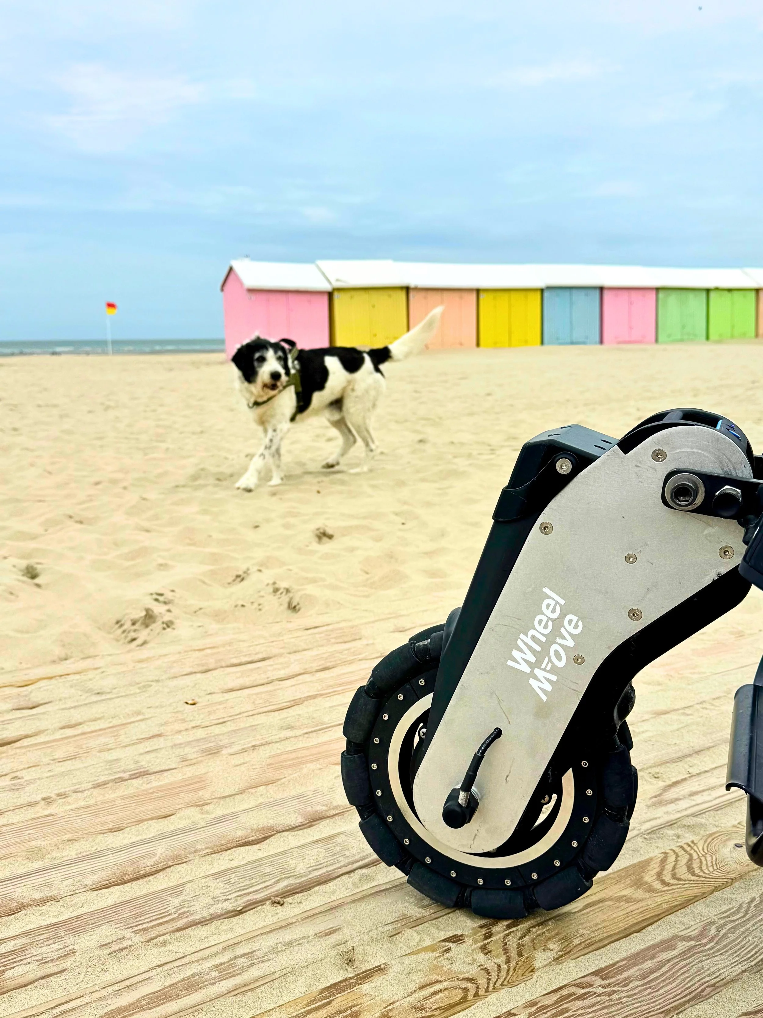 Un chien noir et blanc court sur la plage, avec une trottinette électrique à côté, et des cabines de plage colorées en arrière-plan