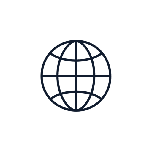 Icon of a globe with a network grid, representing internet or global connectivity.