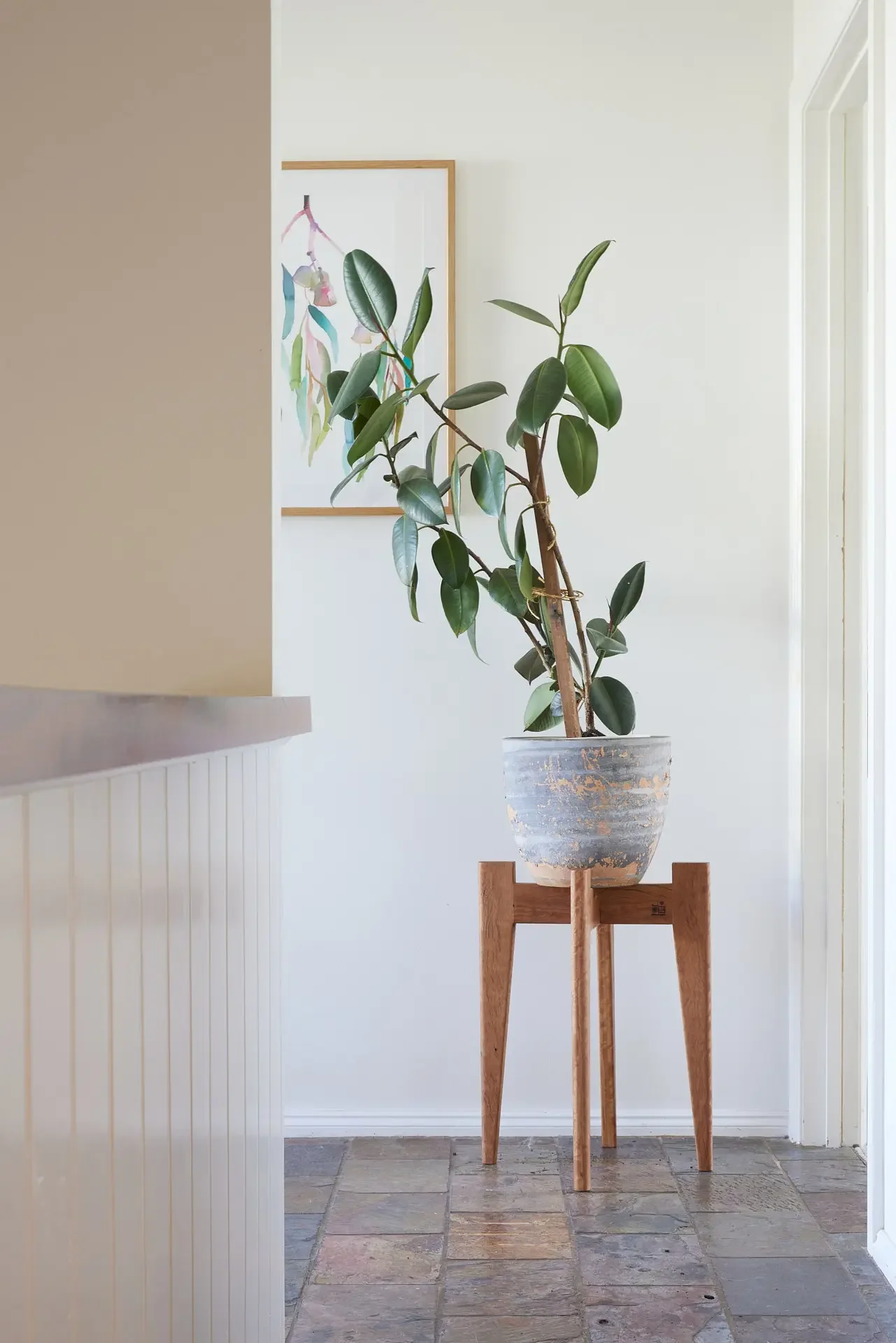 Recycled messmate plant stand. Hand made and designed on the Surf Coast by Georgie Wood. 