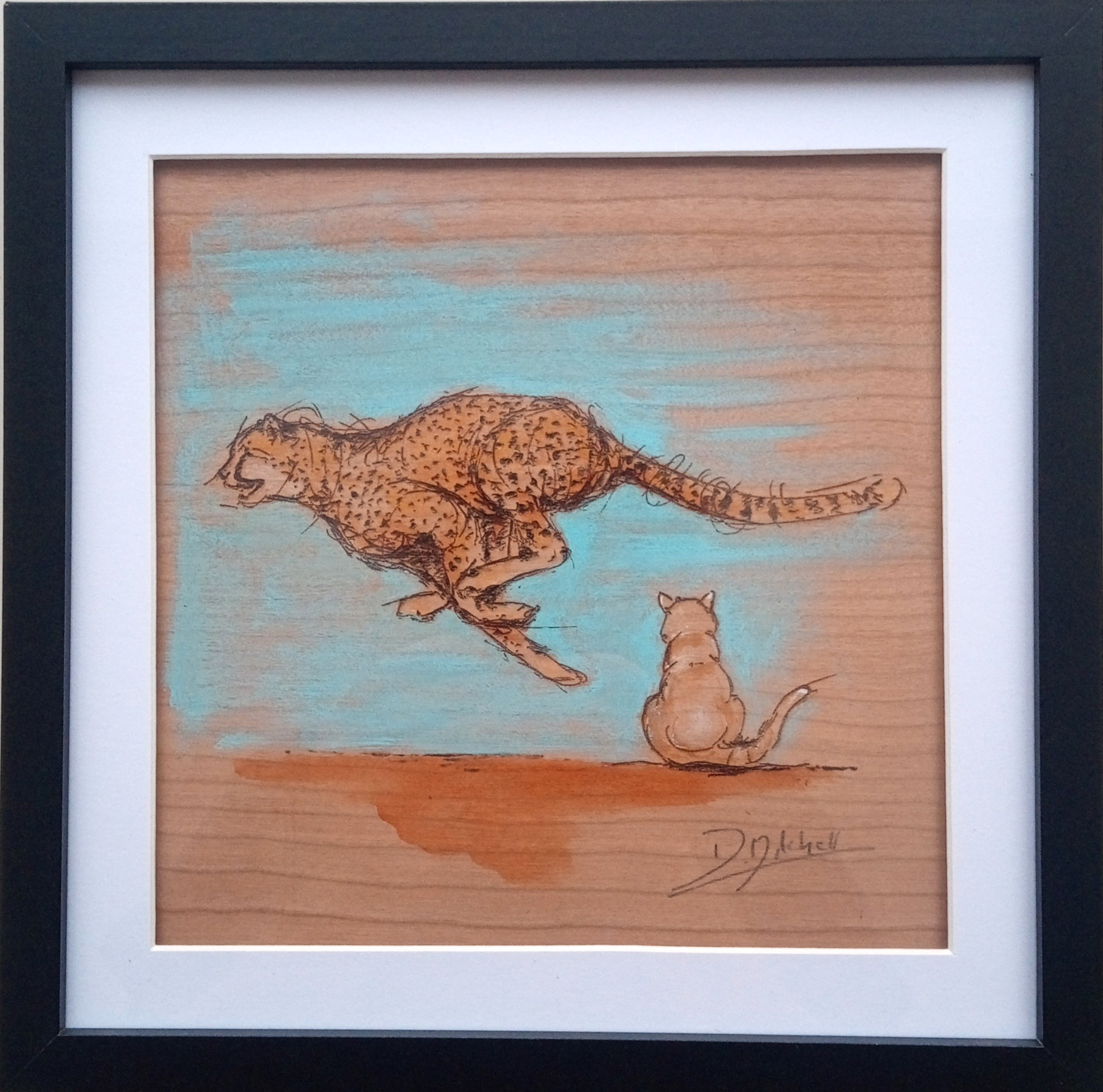 cheetah.jpg