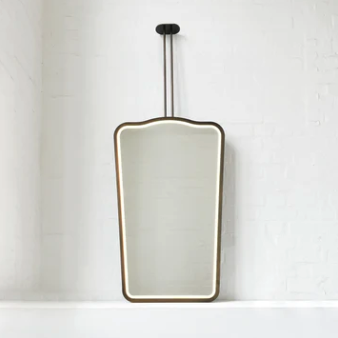 CEILING SUSPENDED - TWIN ARMS