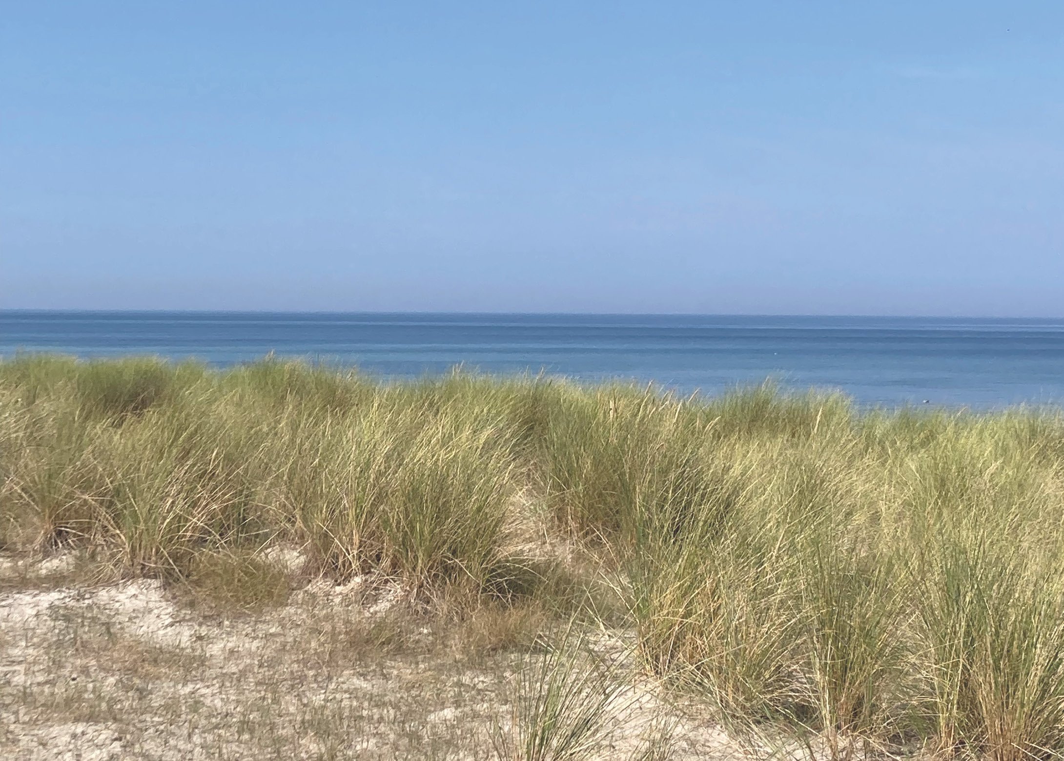 Ruhige Dünenlandschaft mit Weite des Meeres