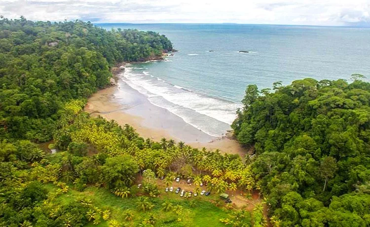 A tropical beach with a sandy shoreline, surrounded by lush green trees and vegetation, with the ocean in the background under a cloudy sky.