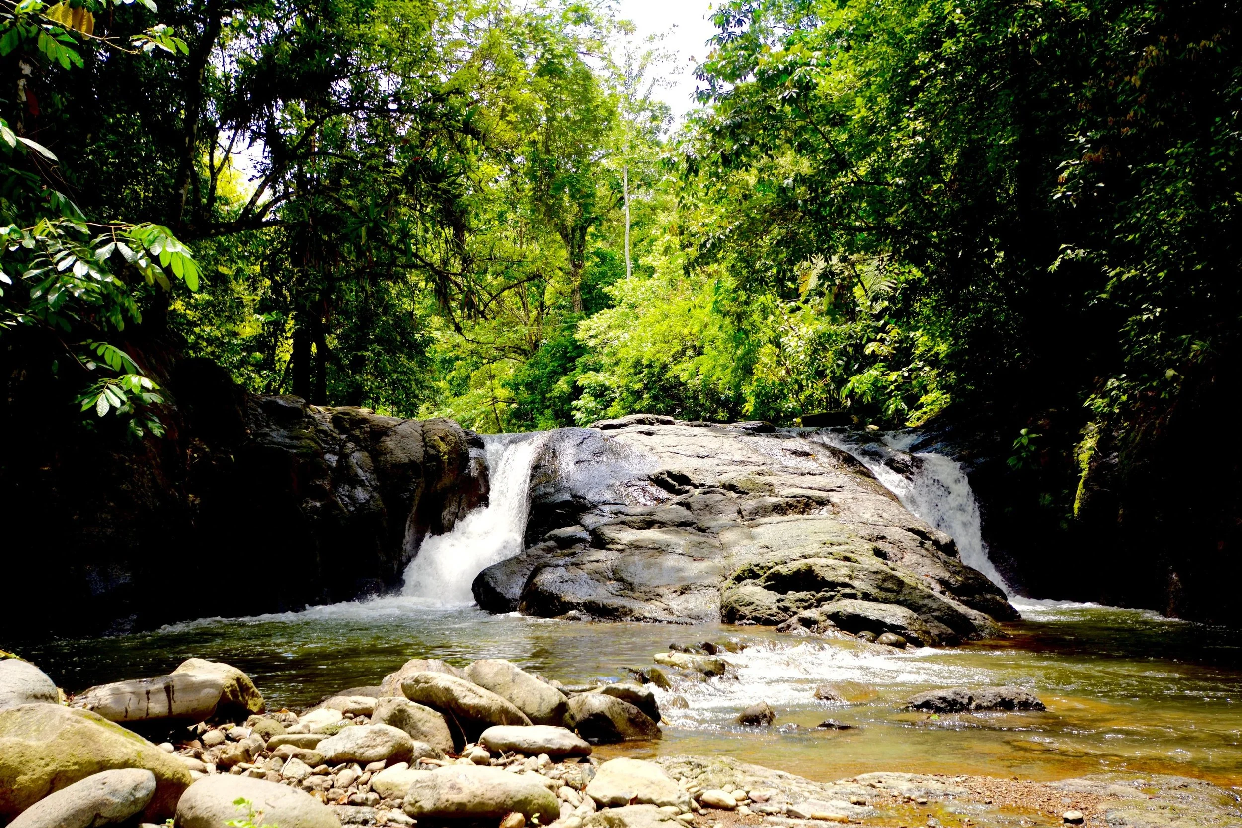 A small waterfall flowing over rocks into a shallow pool, surrounded by lush green trees in a forest setting.