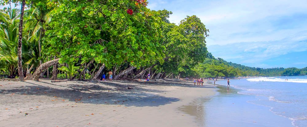 Tropical beach with green trees, sandy shore, people walking and relaxing, and ocean waves under a partly cloudy sky.
