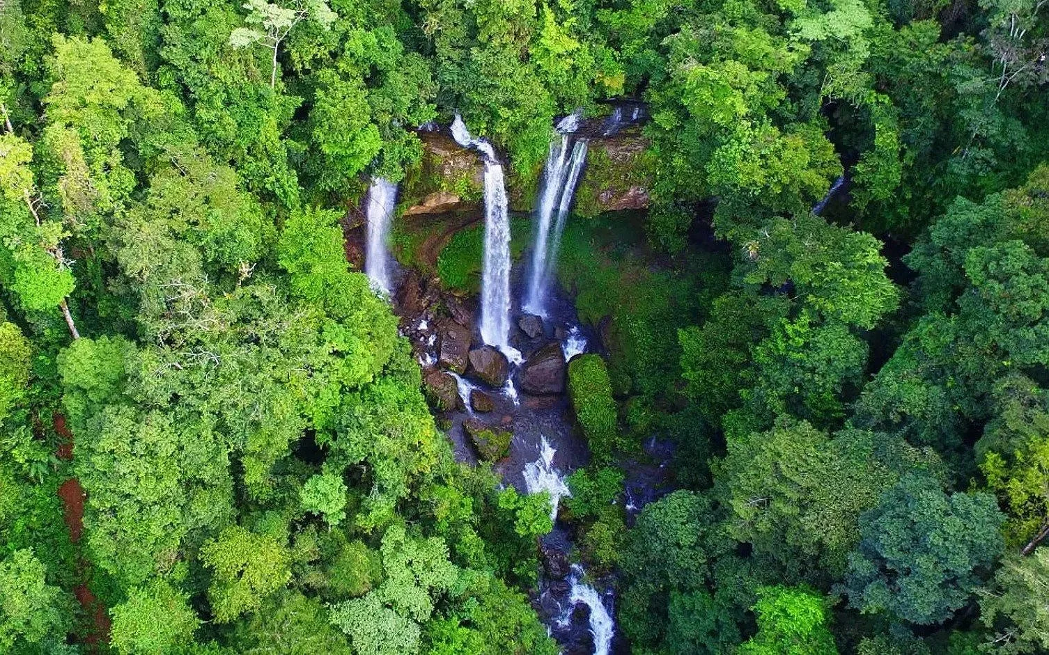 An aerial view of a dense green forest with a waterfall cascading over rocks in the center.