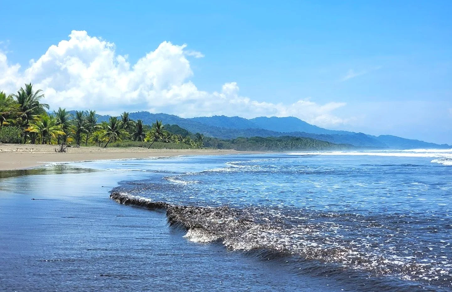A tropical beach with palm trees, sandy shore, and mountains in the background under a partly cloudy sky.