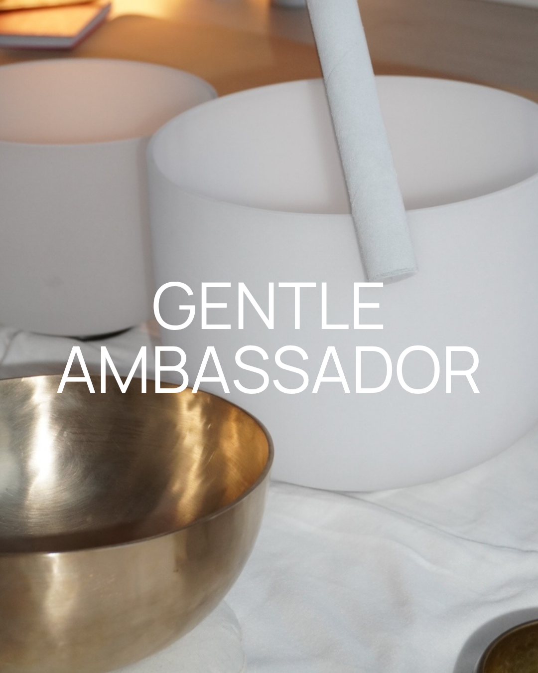 White cylindrical containers with a metallic bowl and a rolled paper stick, with the words "Gentle Ambassador" overlaid on the image.