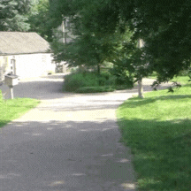 table sessions 2.gif