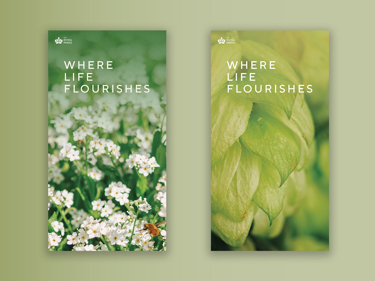 INSTORE MARKETING POSTERS 1.jpg