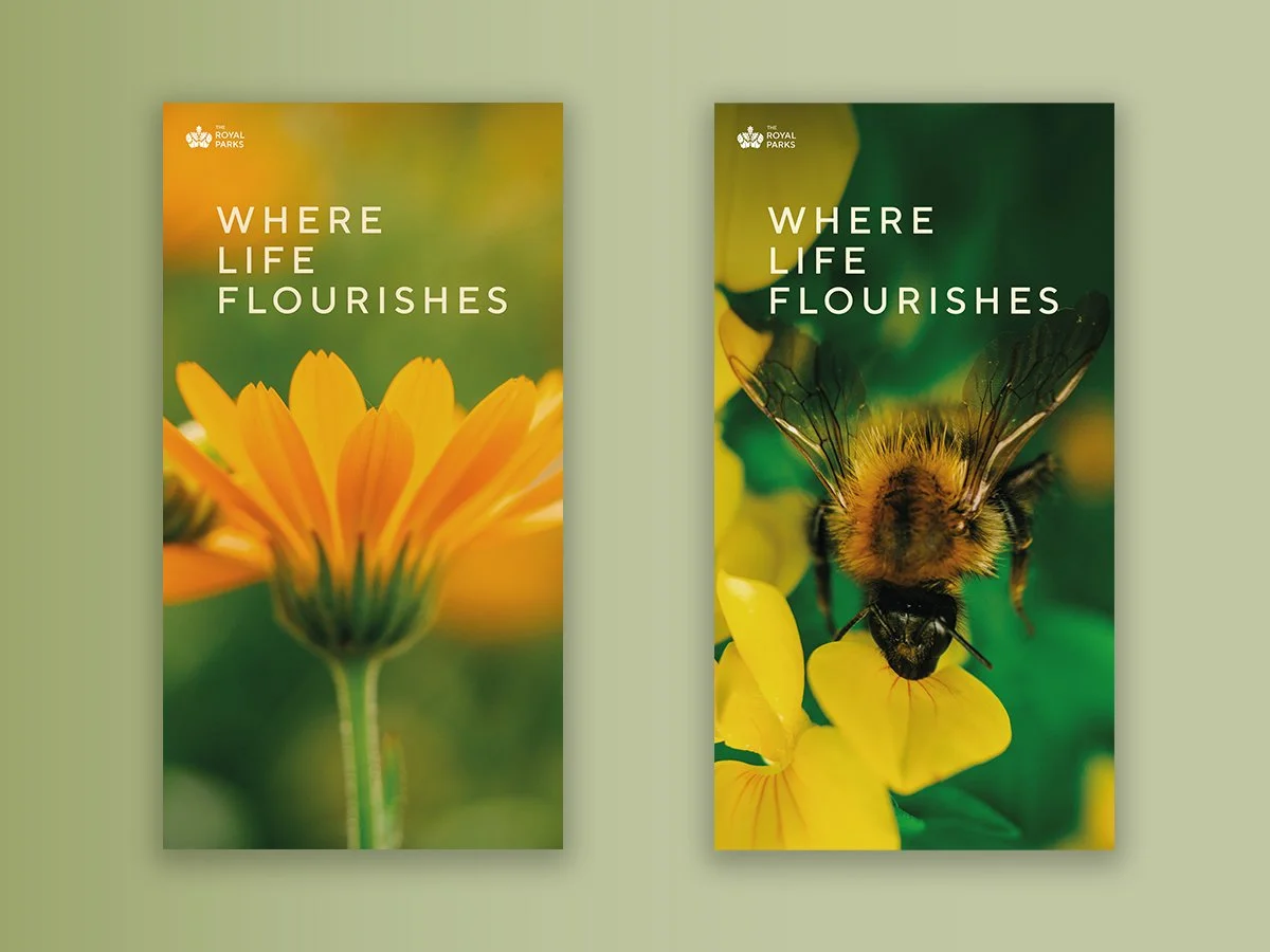 INSTORE MARKETING POSTERS 2.jpg