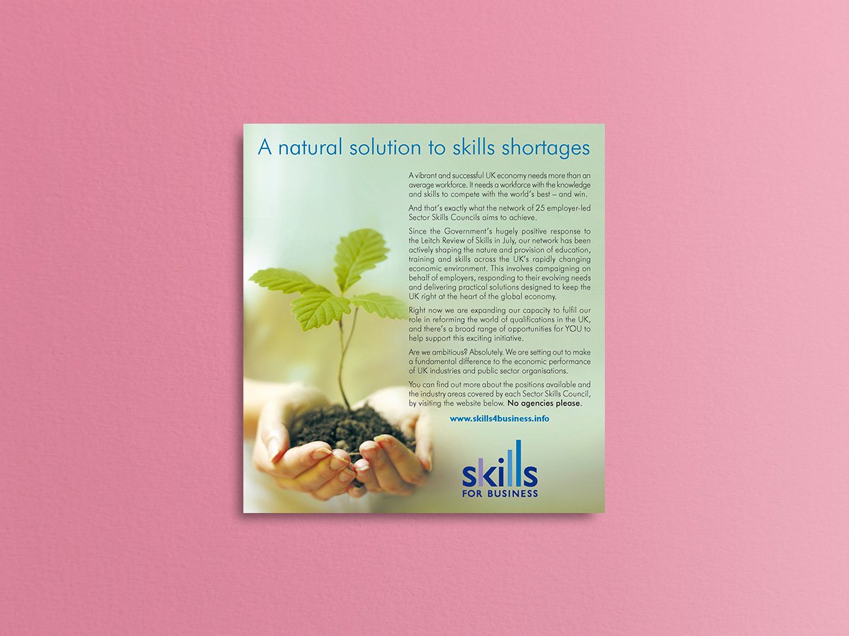 Small Picture Ad.jpg