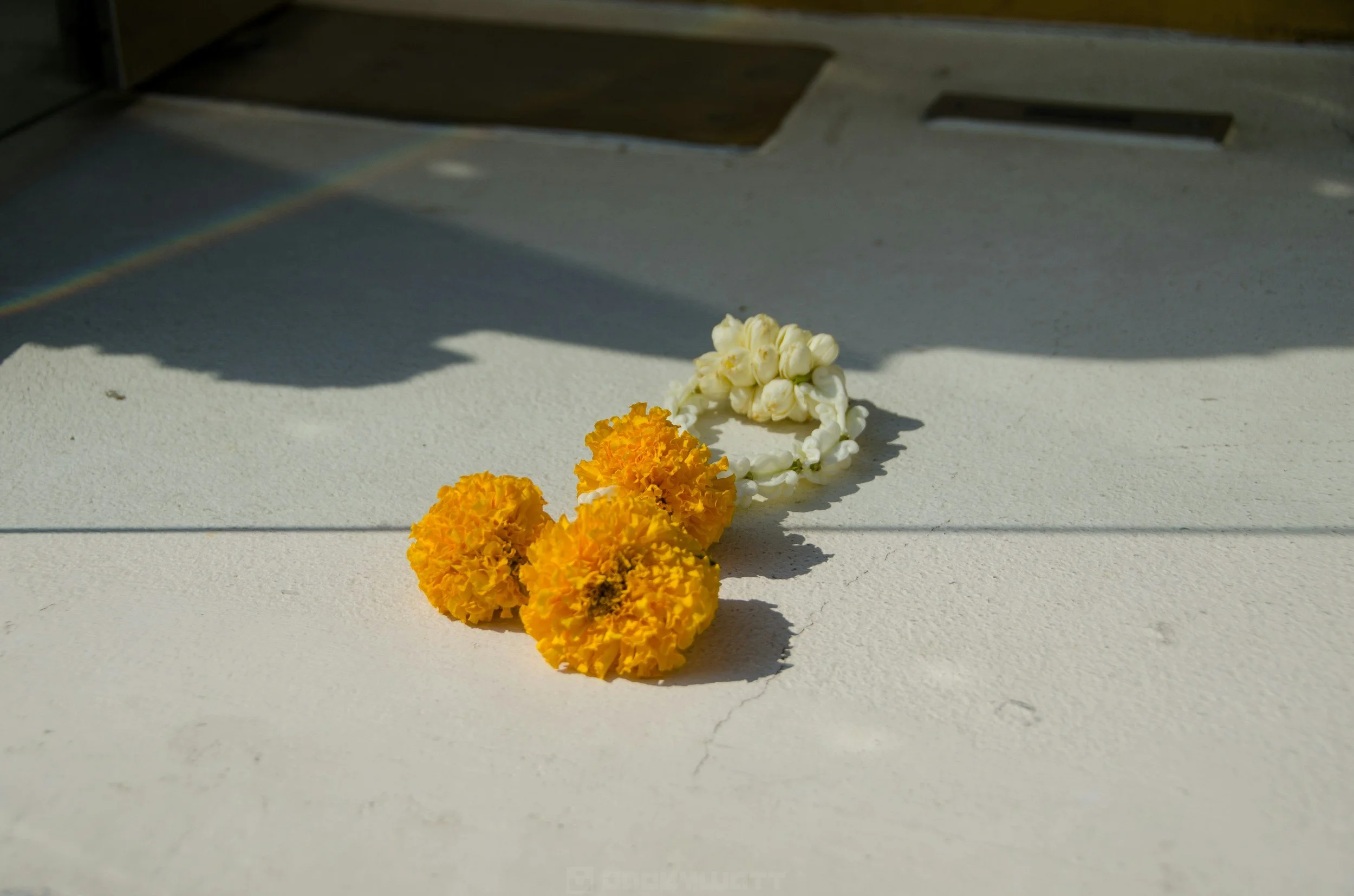 A white and yellow flower garland on a white surface with sunlight and shadows.