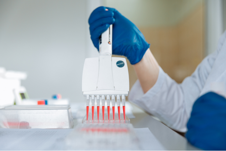 Gloved hand using a multichannel pipette in a pharmacy lab