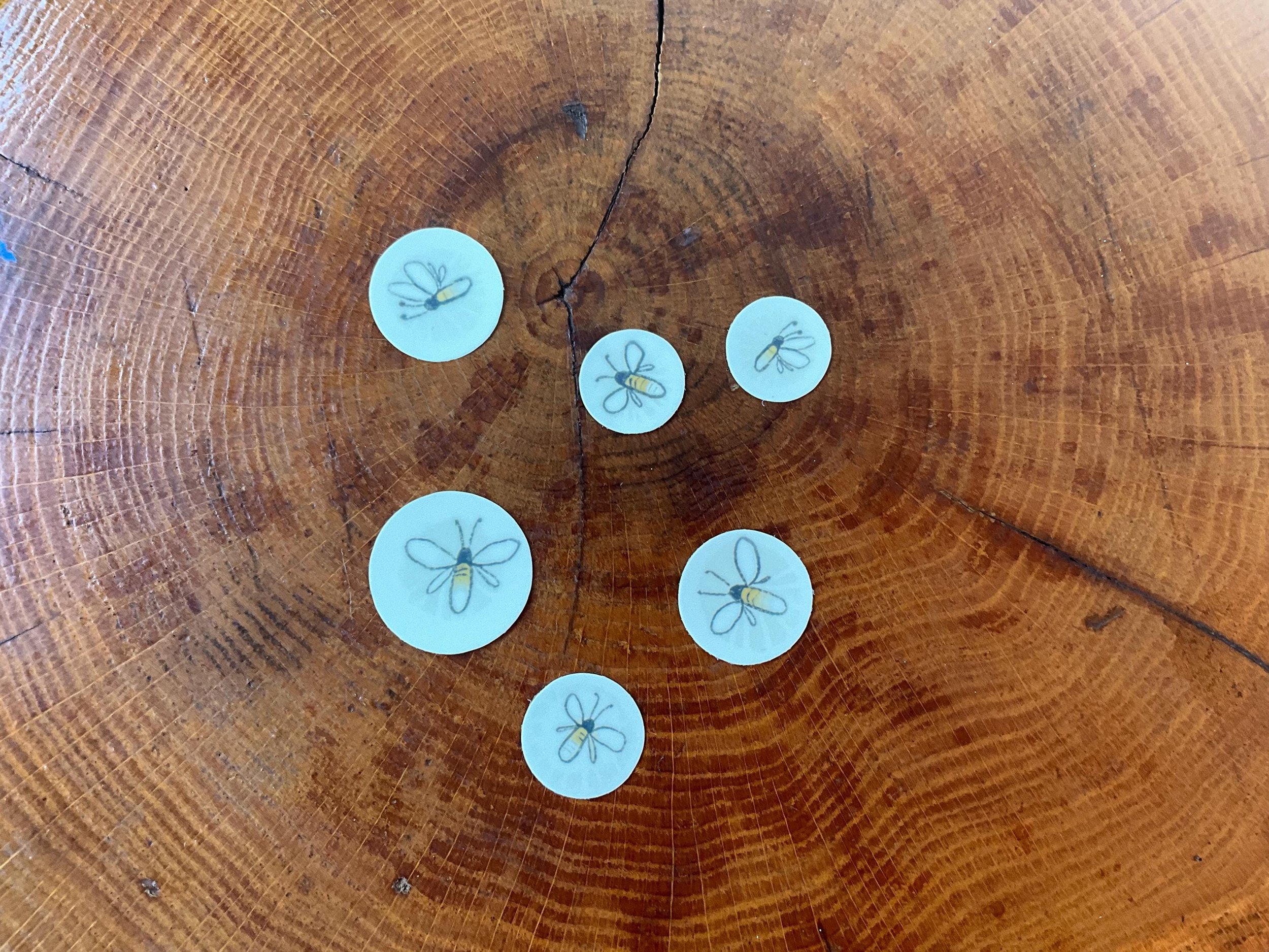 https://i.etsystatic.com/20913387/r/il/721062/6235946689/il_fullxfull.6235946689_oe4o.jpg