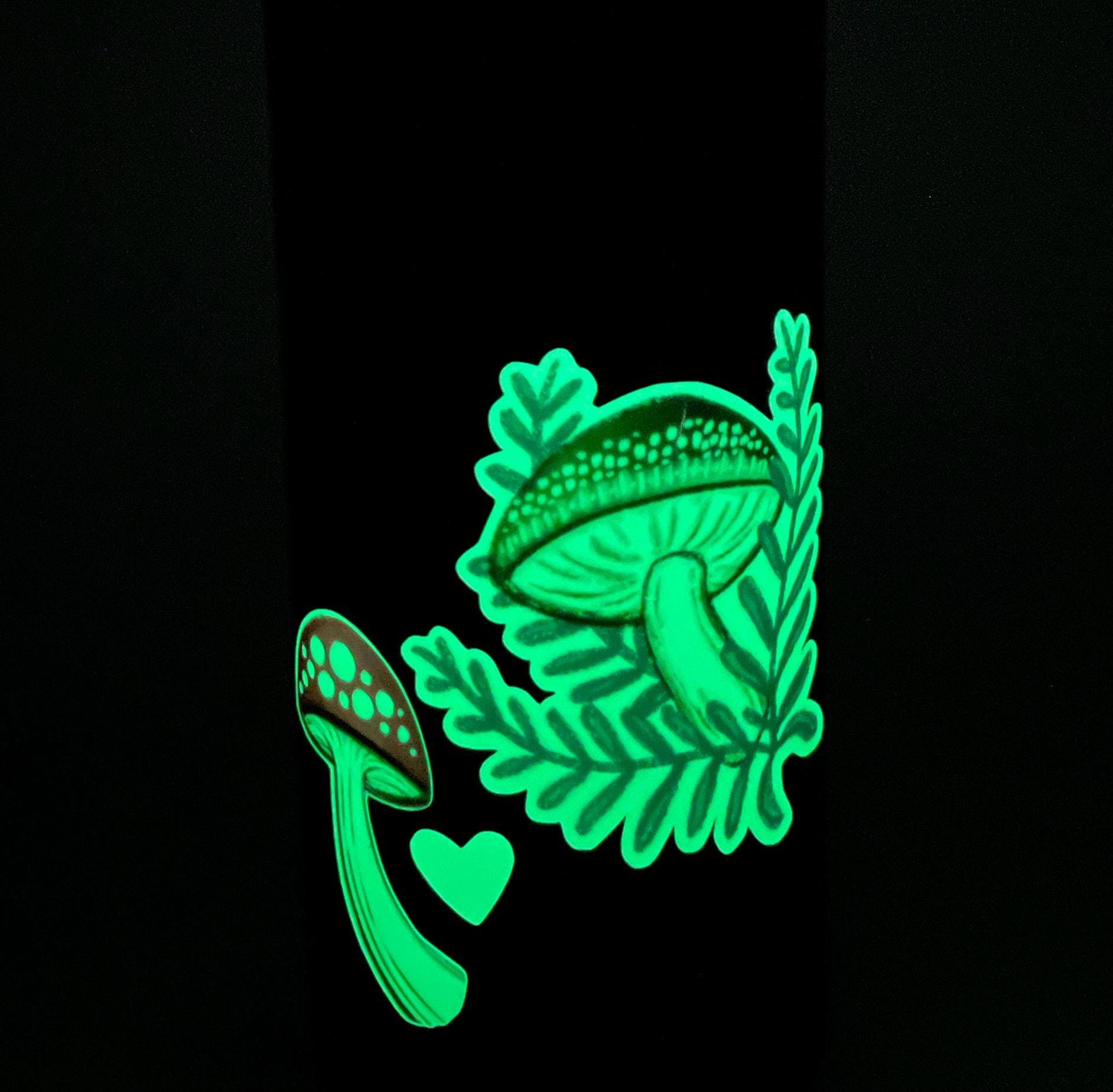 https://i.etsystatic.com/20913387/r/il/76fe66/6385893512/il_fullxfull.6385893512_6r27.jpg