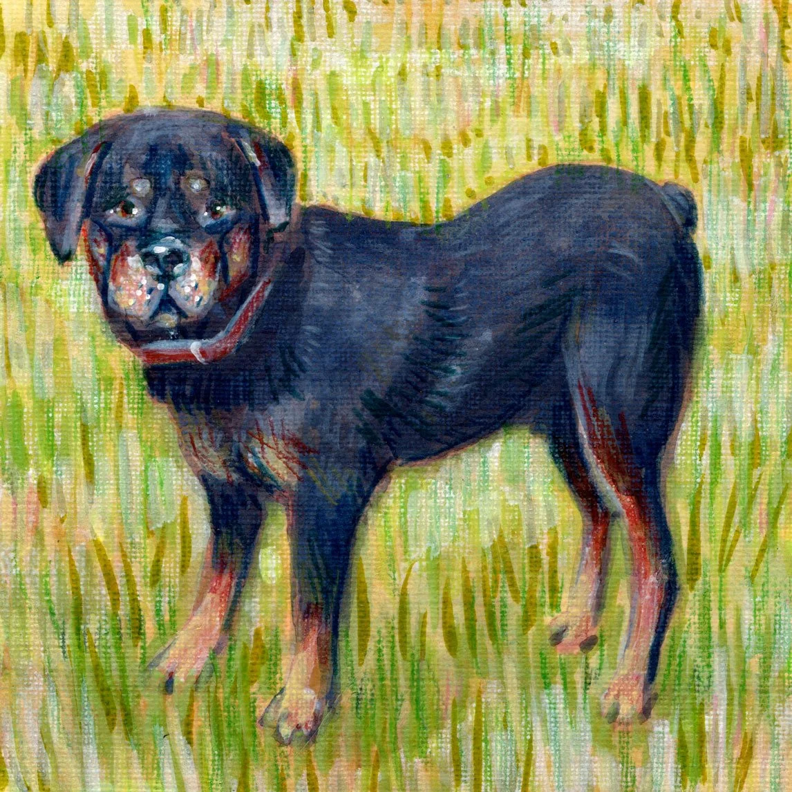Kathy-dog-portrait.jpg