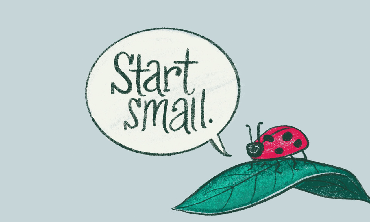 bug-ladybug-start-small.png