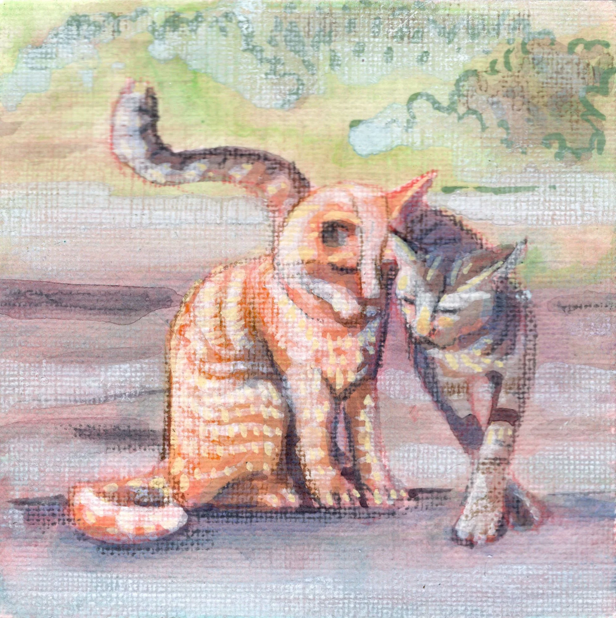 cat-snuggle-cats.jpg