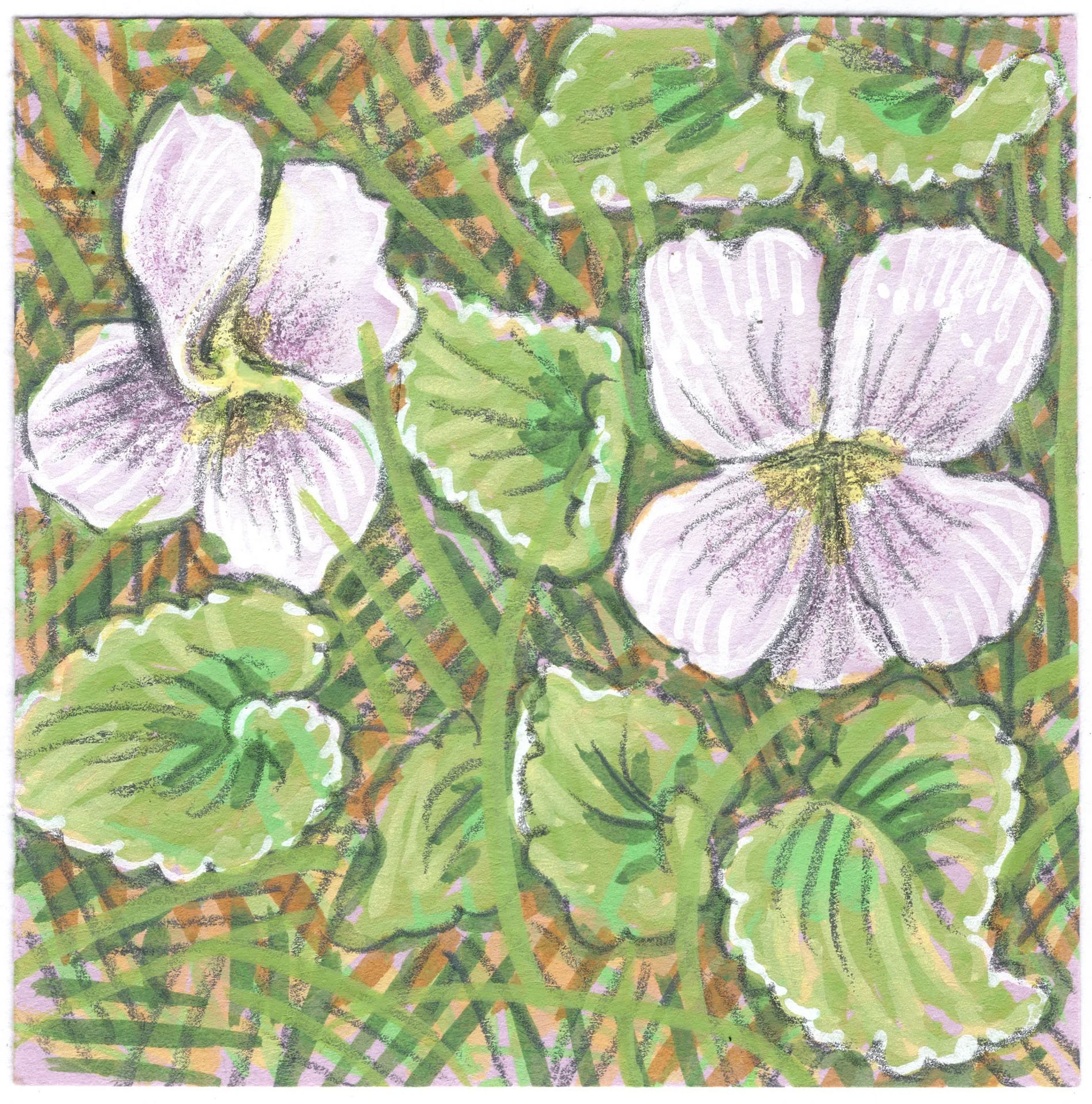 violets-march-2026.jpg