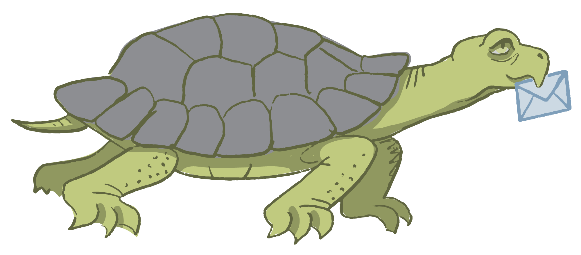 TURTLE-ENVELOPE_2000px.png