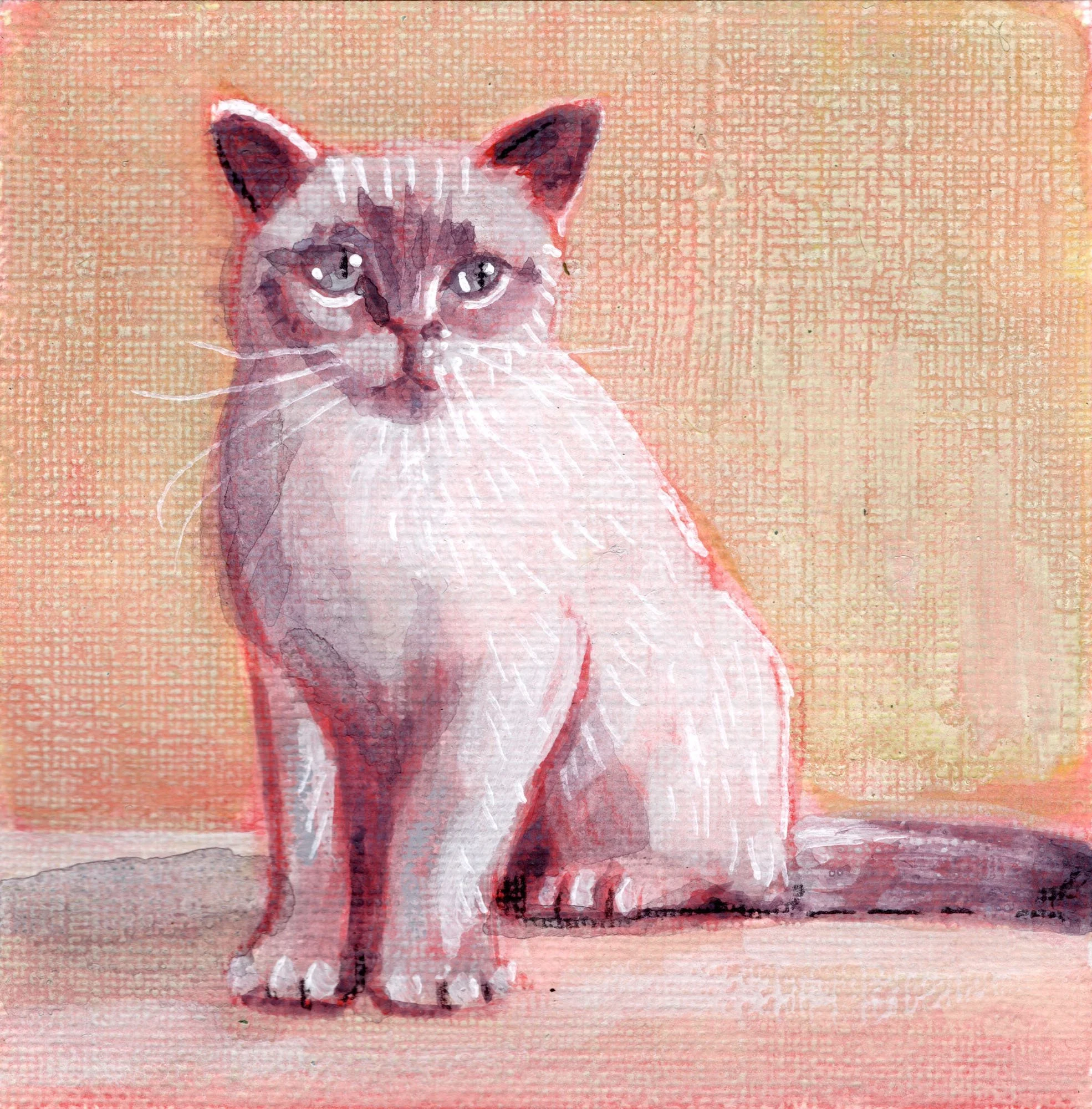 cat-feb-2026.jpg
