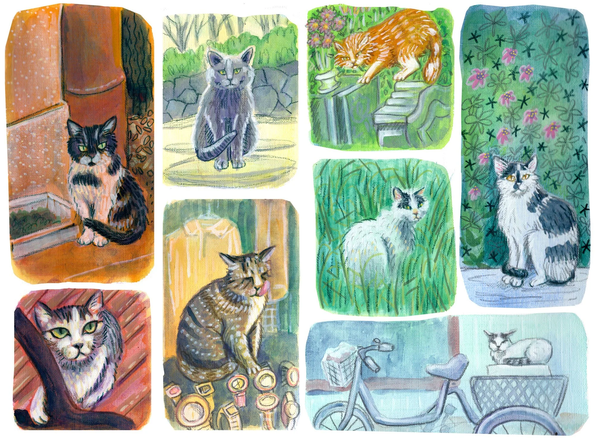 cats-of-japan.jpg