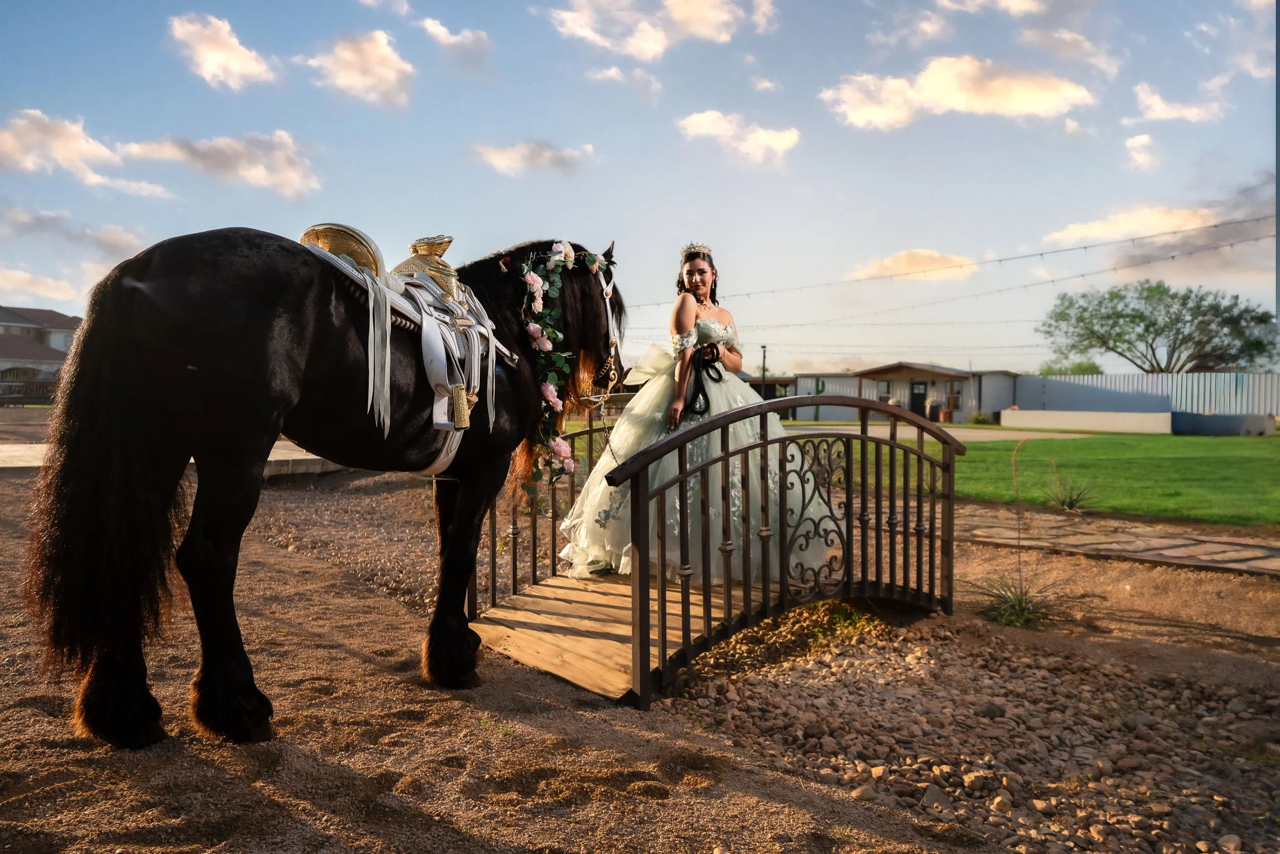DSC09941-Edit.jpg