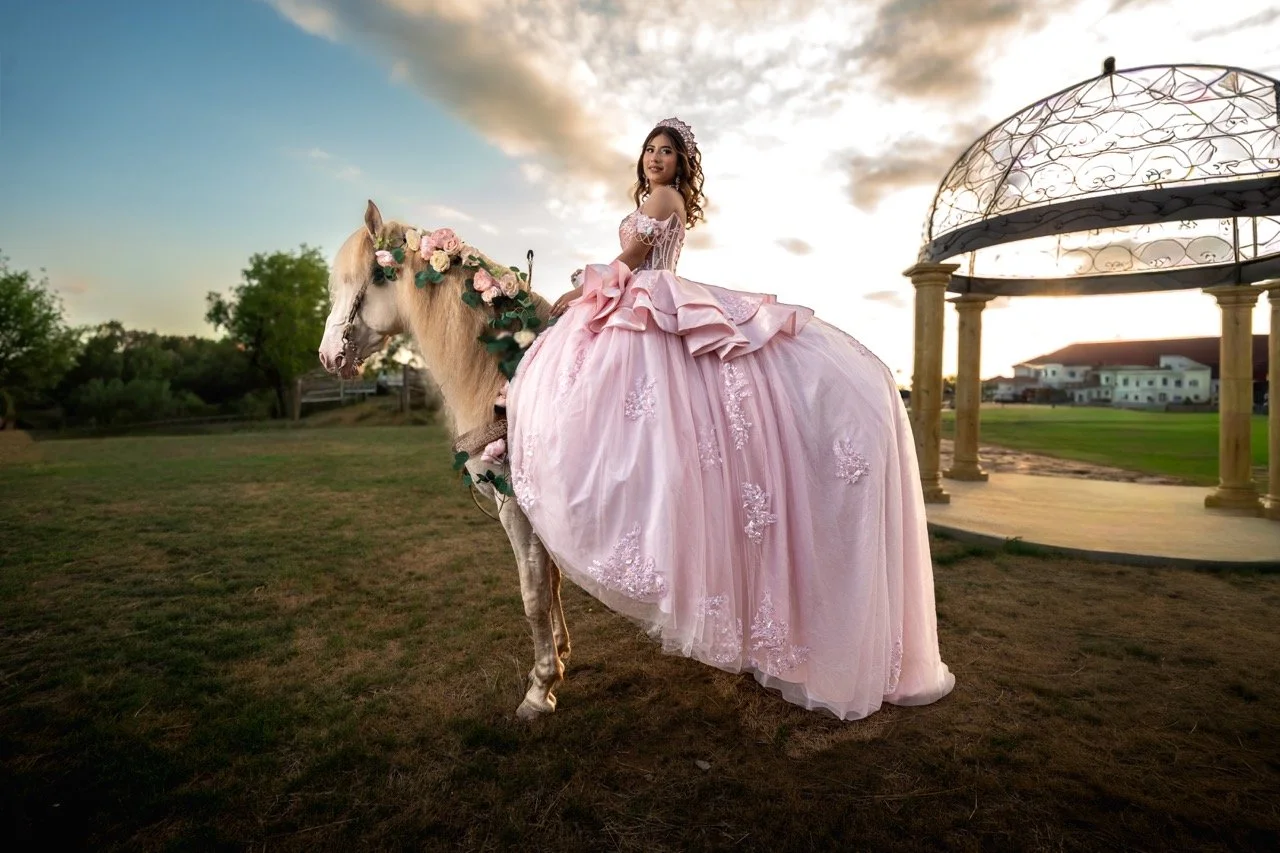 gabbyhorse Large.jpeg
