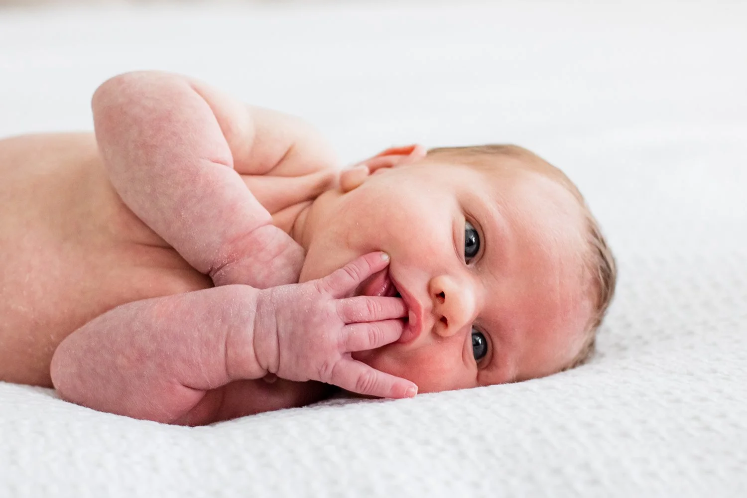 cabo san lucas newborn photographer.jpg
