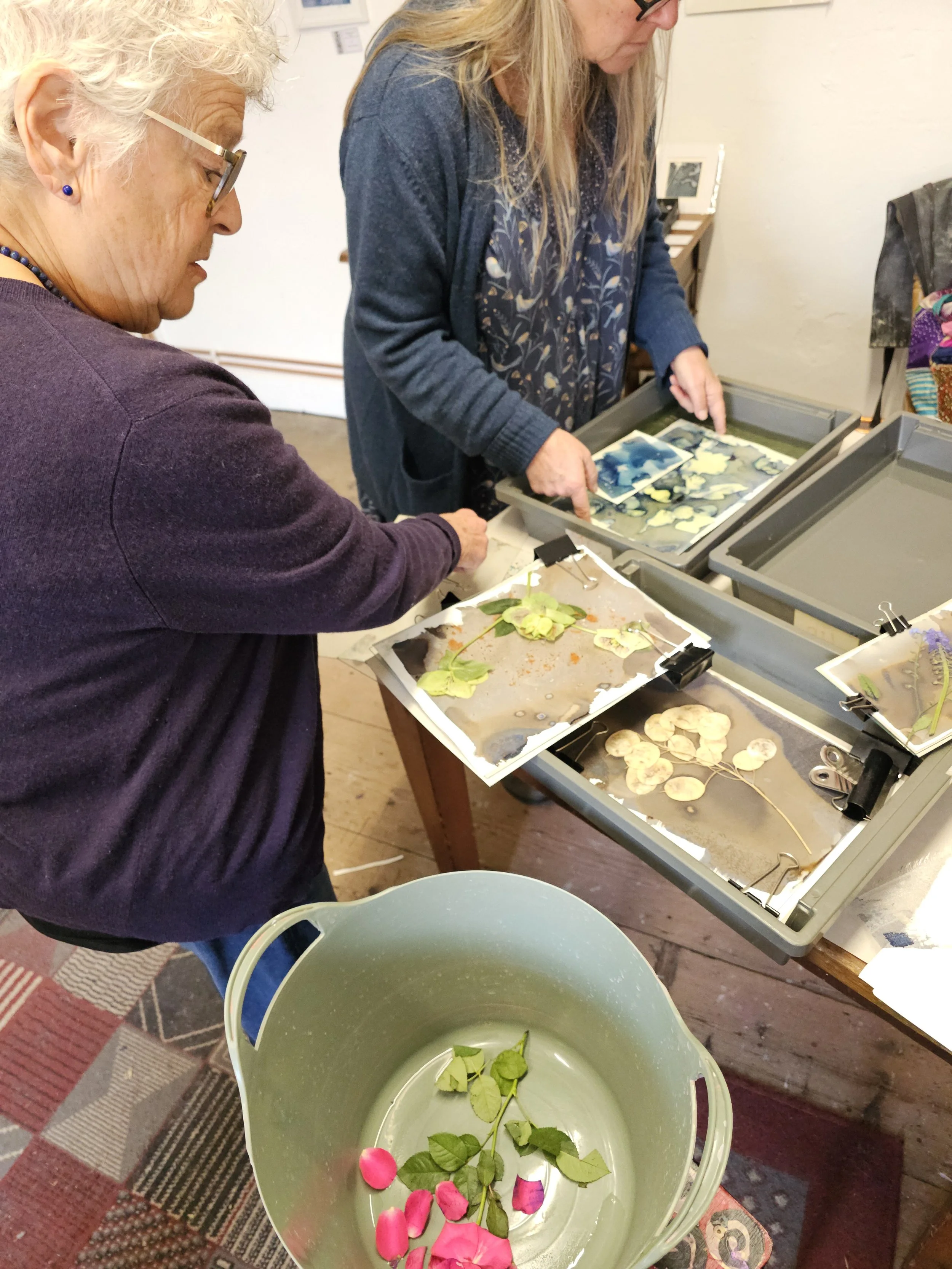 cyanotype workshop