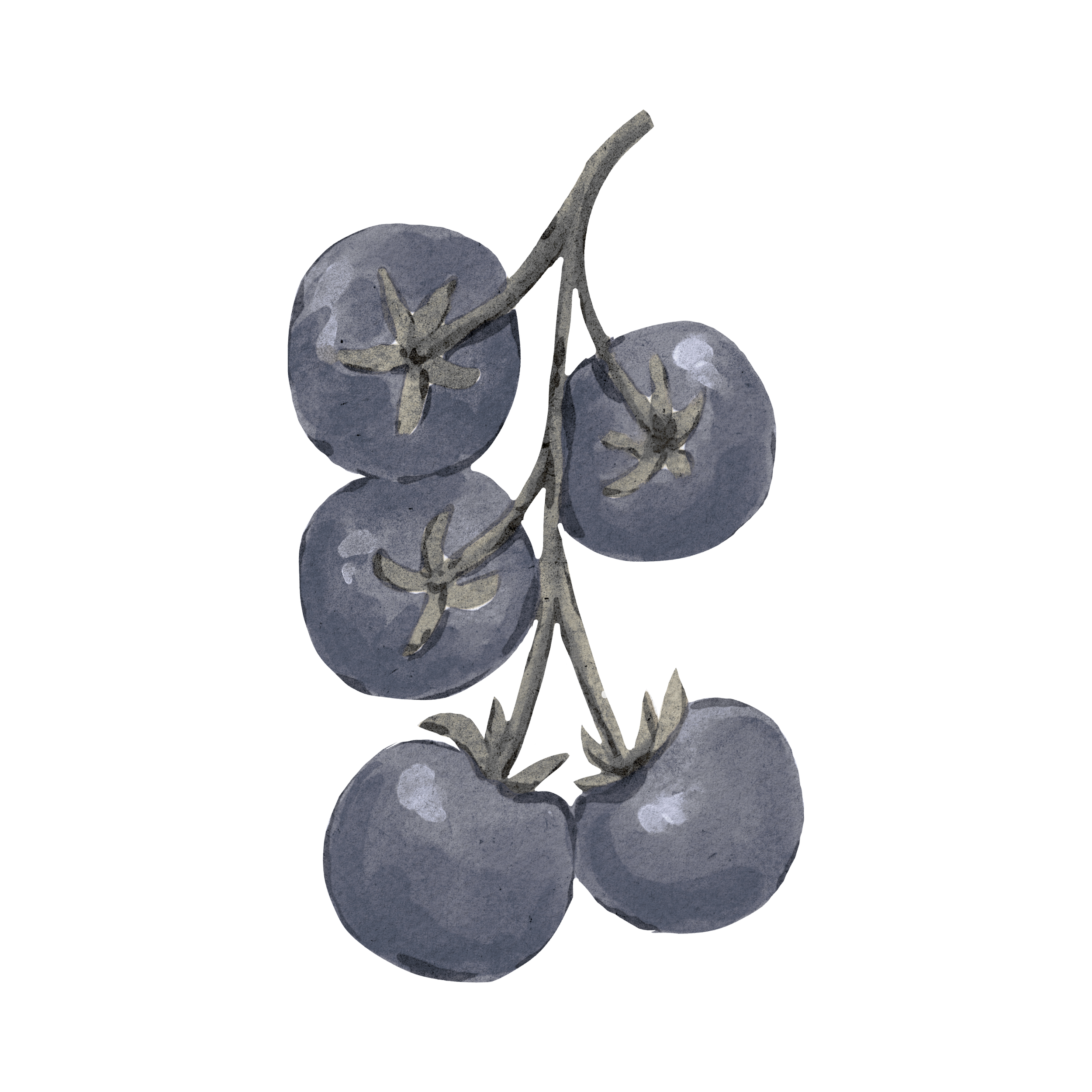 Untitled design (4).png