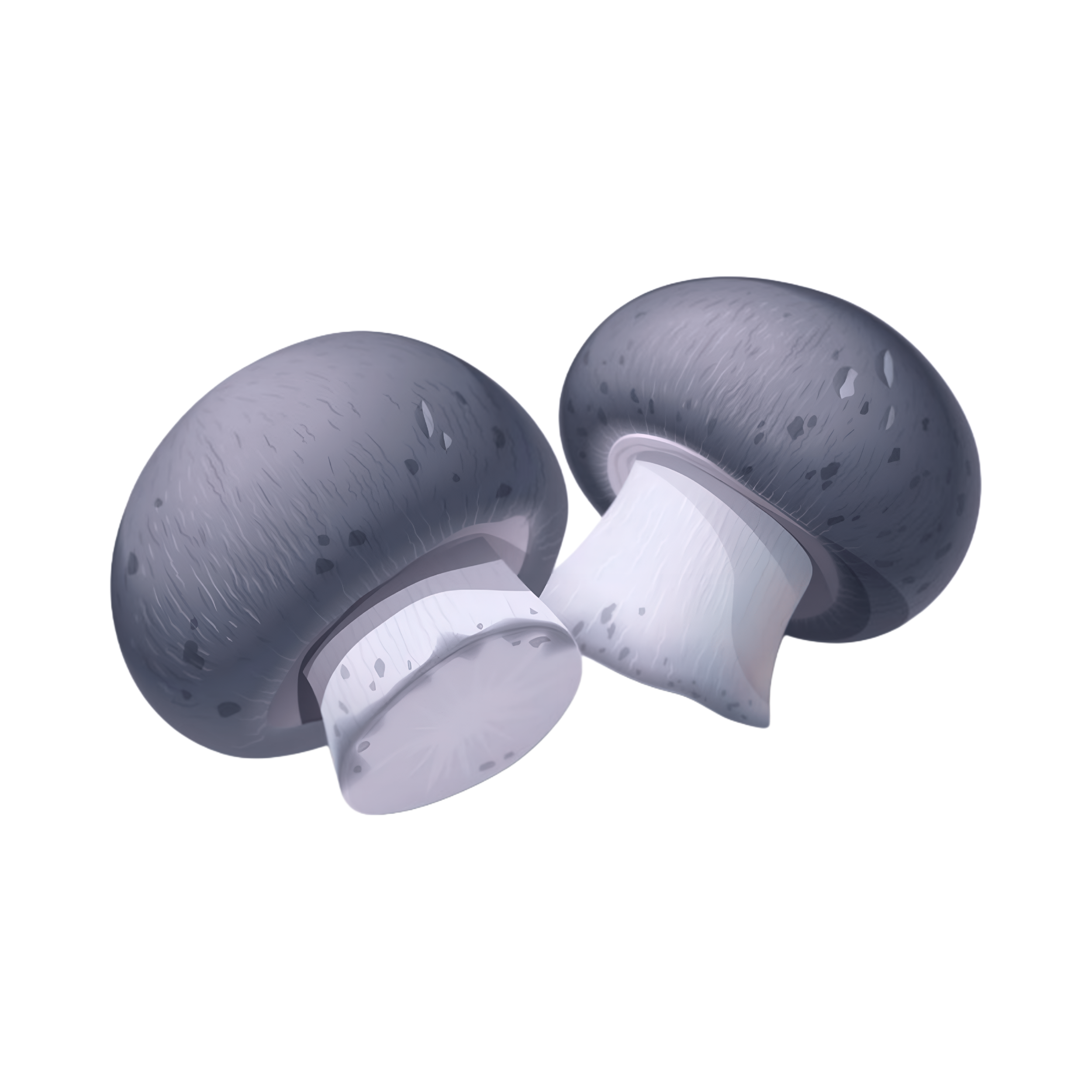 Untitled design (6).png