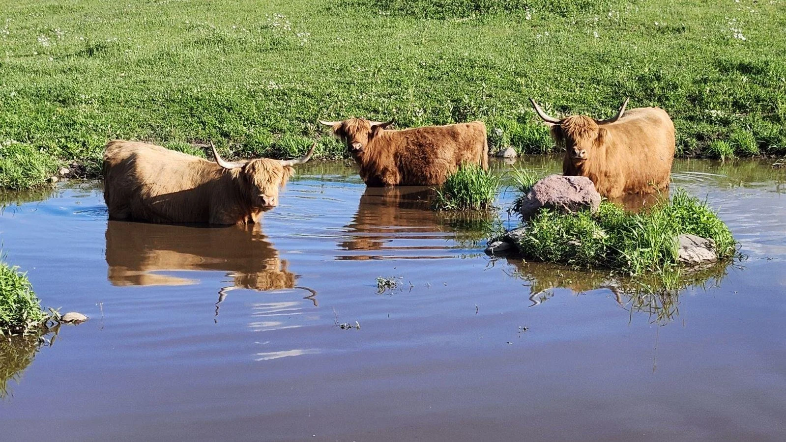 Jeremiah Mewes - image000000.JPG