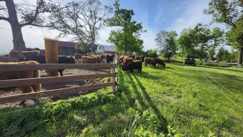 Jeremiah Mewes - image000004.JPG