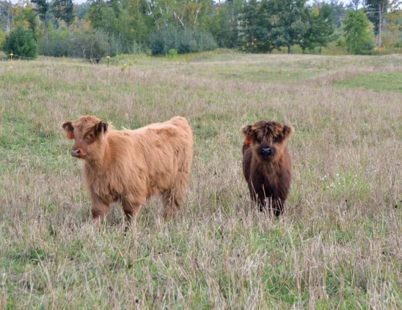 Jeremiah Mewes - IMG_4617.JPG