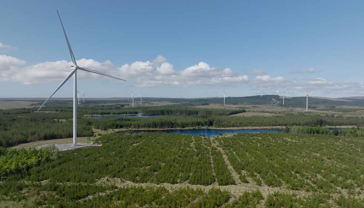 Amazon treibt erneuerbare Energien in Europa voran