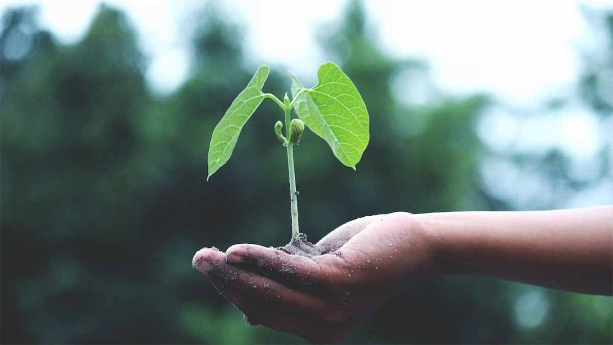 Engagement für Innovation und Anerkennung als EPEAT Climate+ Champion