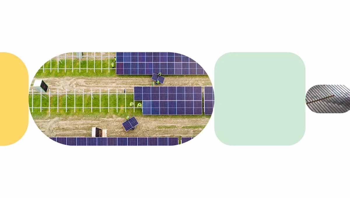 Nachhaltige Zukunft: Googles ehrgeizige Mission