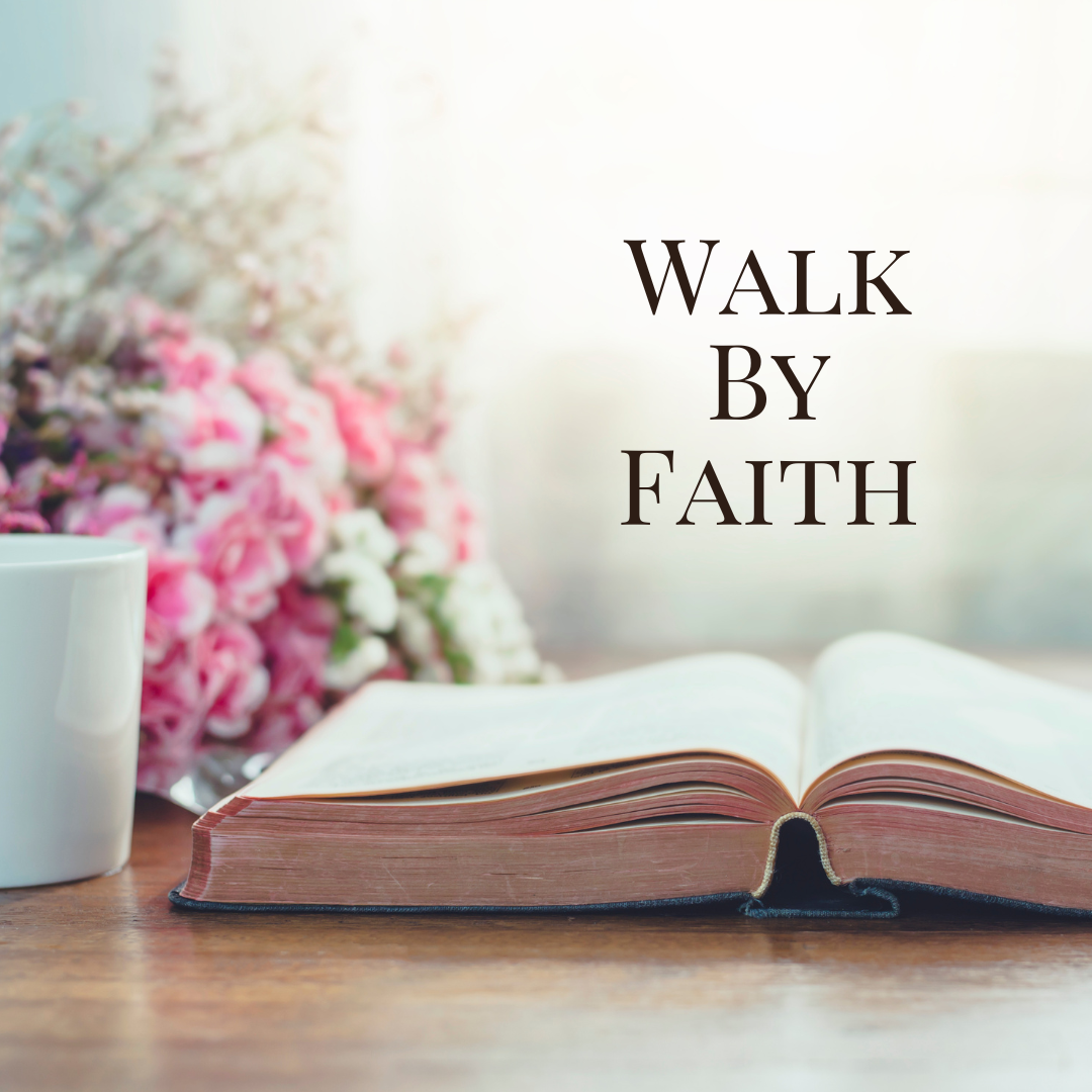 Plain white wall panel or surface