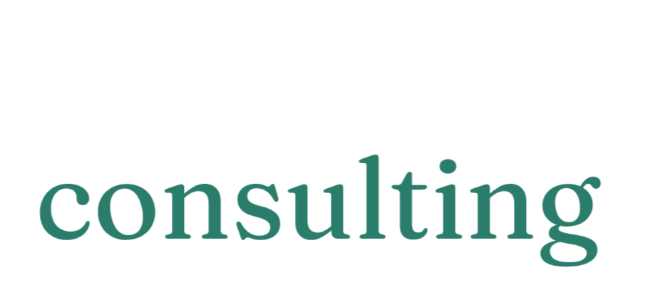 Androski Consulting