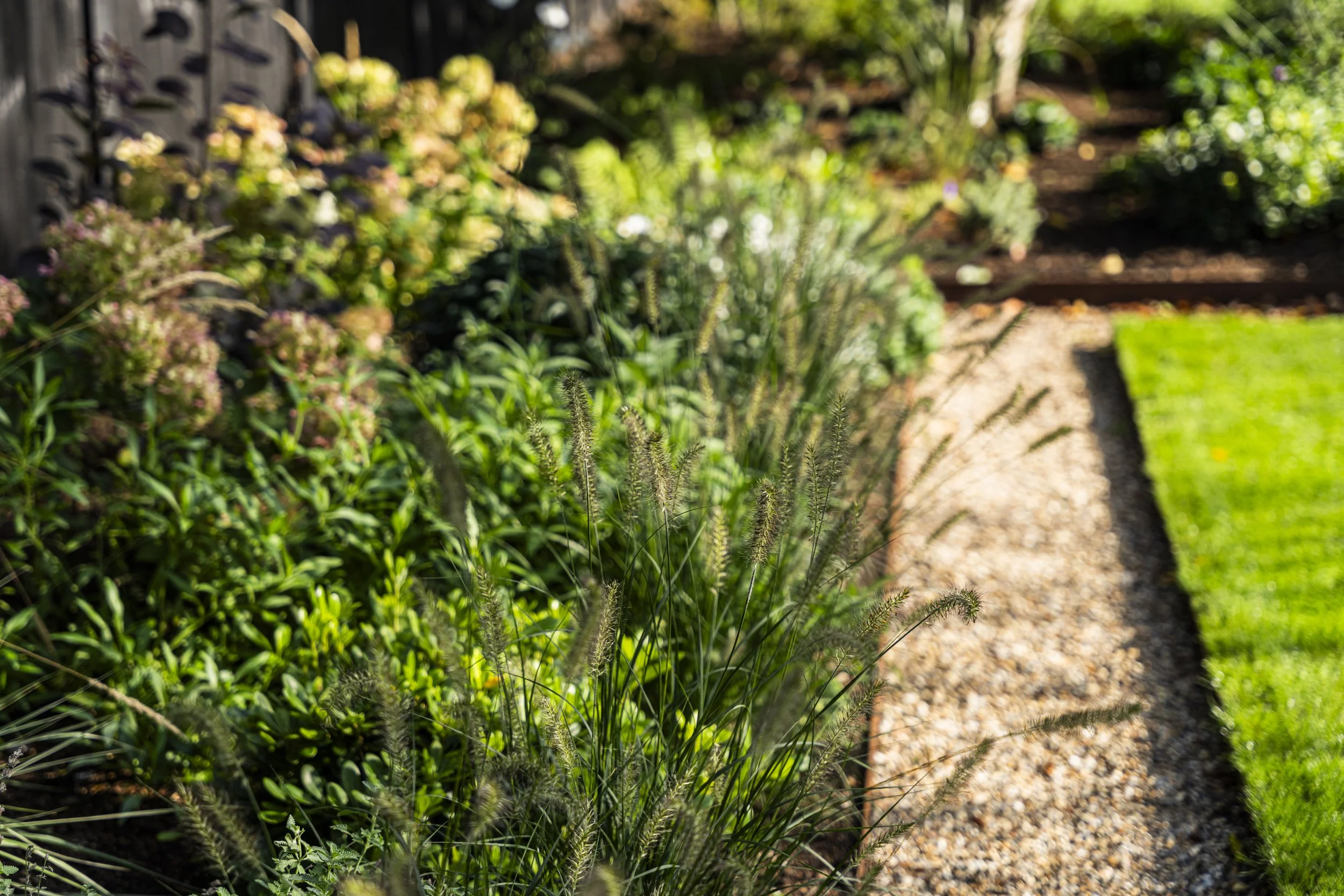 ©Emily-Hillier-Suburban-Garden-01-8339.jpg